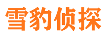 两当调查公司